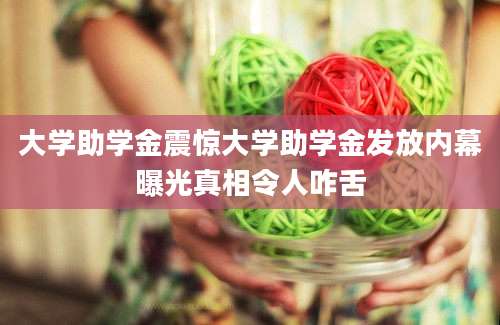 大学助学金震惊大学助学金发放内幕曝光真相令人咋舌