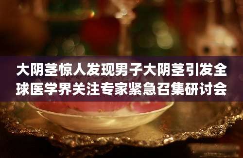 大阴茎惊人发现男子大阴茎引发全球医学界关注专家紧急召集研讨会