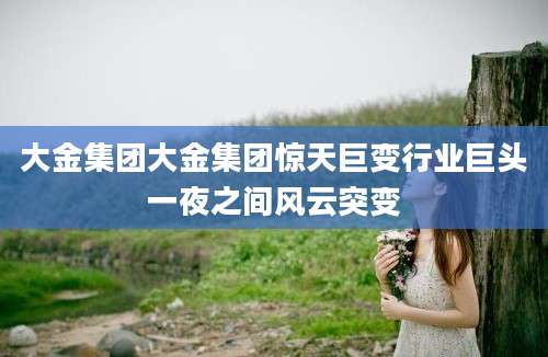 大金集团大金集团惊天巨变行业巨头一夜之间风云突变