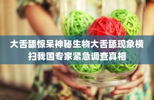 大舌舔惊呆神秘生物大舌舔现象横扫我国专家紧急调查真相