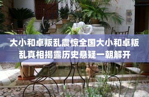 大小和卓叛乱震惊全国大小和卓叛乱真相揭露历史悬疑一朝解开