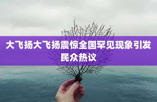 大飞扬大飞扬震惊全国罕见现象引发民众热议
