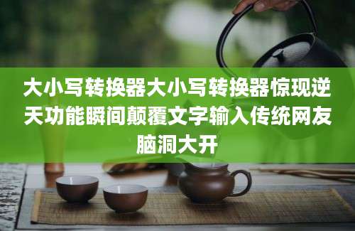 大小写转换器大小写转换器惊现逆天功能瞬间颠覆文字输入传统网友脑洞大开