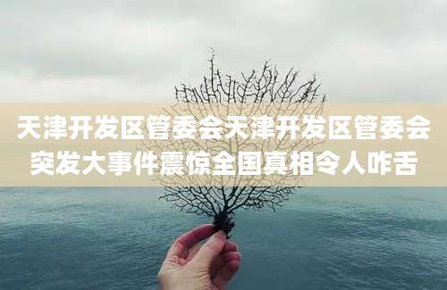 天津开发区管委会天津开发区管委会突发大事件震惊全国真相令人咋舌