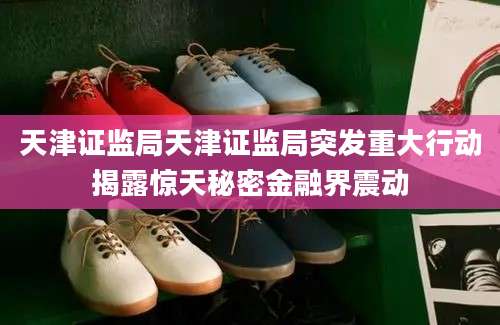 天津证监局天津证监局突发重大行动揭露惊天秘密金融界震动