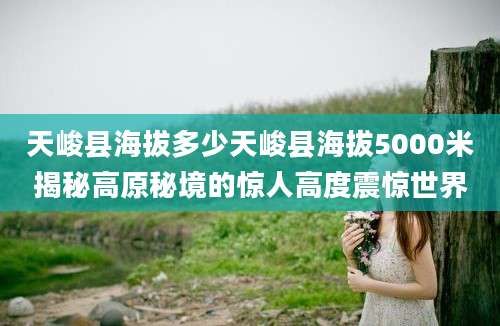 天峻县海拔多少天峻县海拔5000米揭秘高原秘境的惊人高度震惊世界