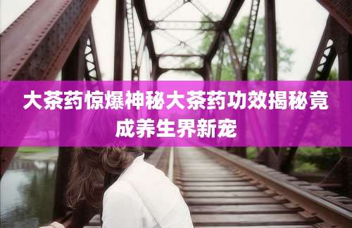 大茶药惊爆神秘大茶药功效揭秘竟成养生界新宠