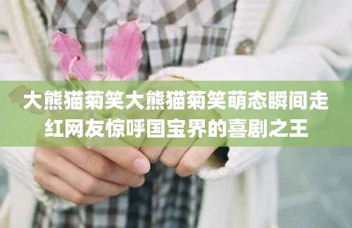 大熊猫菊笑大熊猫菊笑萌态瞬间走红网友惊呼国宝界的喜剧之王