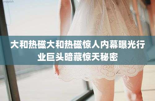 大和热磁大和热磁惊人内幕曝光行业巨头暗藏惊天秘密