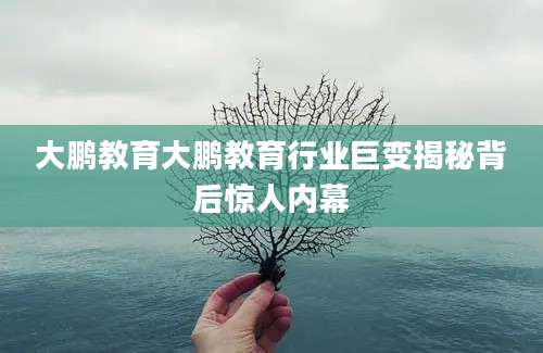 大鹏教育大鹏教育行业巨变揭秘背后惊人内幕
