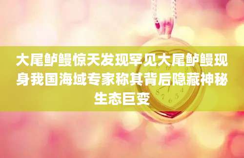 大尾鲈鳗惊天发现罕见大尾鲈鳗现身我国海域专家称其背后隐藏神秘生态巨变