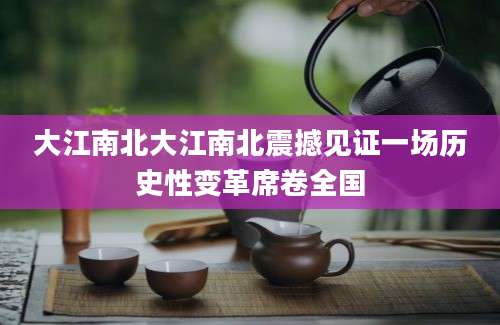 大江南北大江南北震撼见证一场历史性变革席卷全国