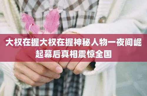 大权在握大权在握神秘人物一夜间崛起幕后真相震惊全国