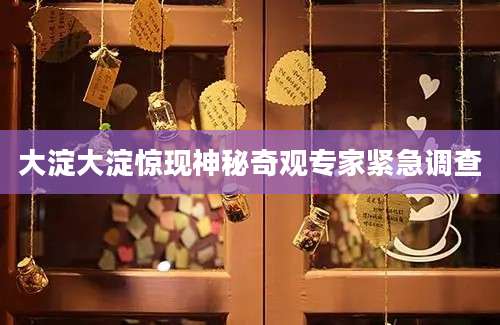 大淀大淀惊现神秘奇观专家紧急调查