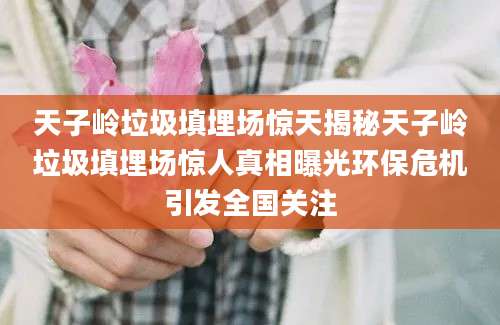 天子岭垃圾填埋场惊天揭秘天子岭垃圾填埋场惊人真相曝光环保危机引发全国关注