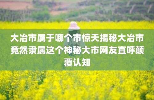 大冶市属于哪个市惊天揭秘大冶市竟然隶属这个神秘大市网友直呼颠覆认知