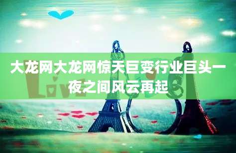 大龙网大龙网惊天巨变行业巨头一夜之间风云再起