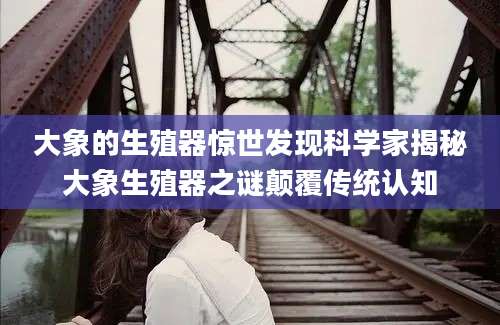 大象的生殖器惊世发现科学家揭秘大象生殖器之谜颠覆传统认知