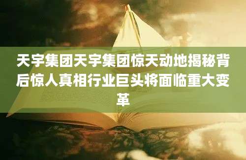 天宇集团天宇集团惊天动地揭秘背后惊人真相行业巨头将面临重大变革