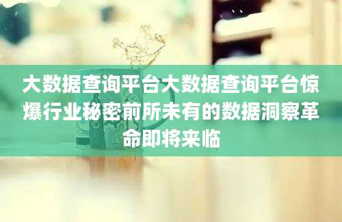 大数据查询平台大数据查询平台惊爆行业秘密前所未有的数据洞察革命即将来临