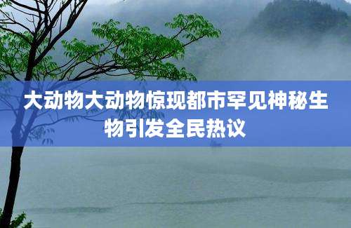 大动物大动物惊现都市罕见神秘生物引发全民热议