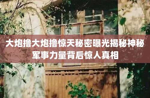大炮撸大炮撸惊天秘密曝光揭秘神秘军事力量背后惊人真相