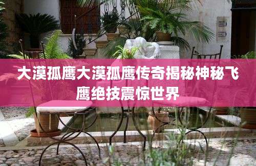 大漠孤鹰大漠孤鹰传奇揭秘神秘飞鹰绝技震惊世界