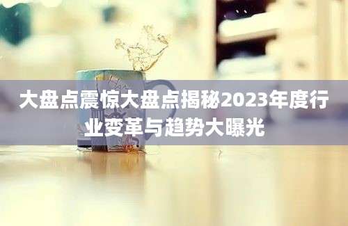大盘点震惊大盘点揭秘2023年度行业变革与趋势大曝光