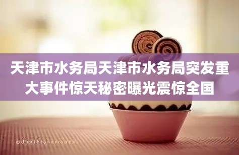 天津市水务局天津市水务局突发重大事件惊天秘密曝光震惊全国