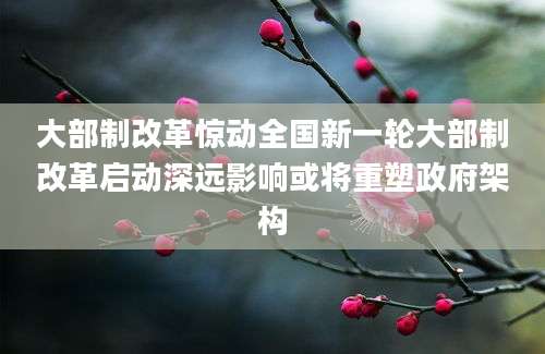 大部制改革惊动全国新一轮大部制改革启动深远影响或将重塑政府架构