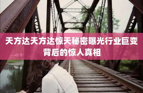 天方达天方达惊天秘密曝光行业巨变背后的惊人真相