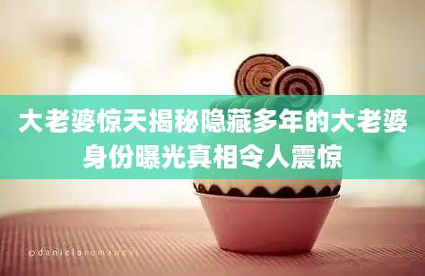 大老婆惊天揭秘隐藏多年的大老婆身份曝光真相令人震惊