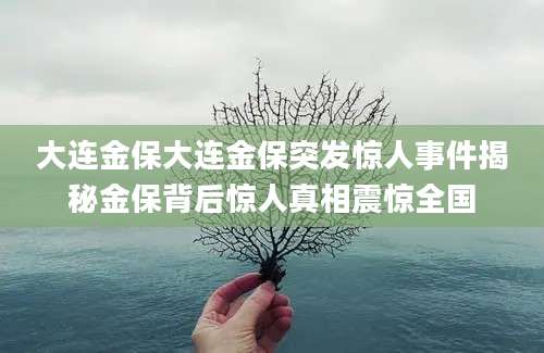 大连金保大连金保突发惊人事件揭秘金保背后惊人真相震惊全国