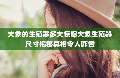 大象的生殖器多大惊曝大象生殖器尺寸揭秘真相令人咋舌