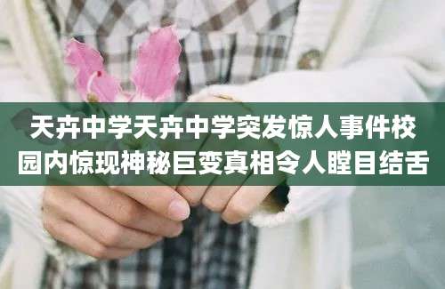 天卉中学天卉中学突发惊人事件校园内惊现神秘巨变真相令人瞠目结舌