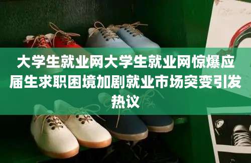 大学生就业网大学生就业网惊爆应届生求职困境加剧就业市场突变引发热议