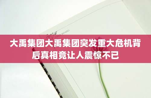 大禹集团大禹集团突发重大危机背后真相竟让人震惊不已