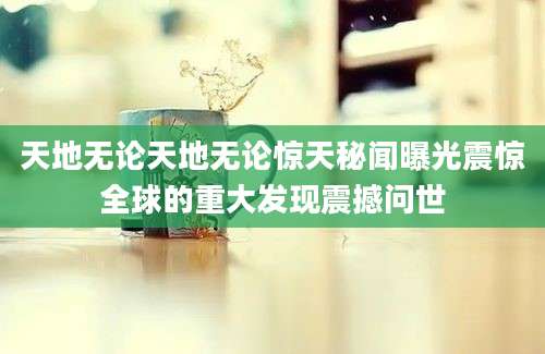 天地无论天地无论惊天秘闻曝光震惊全球的重大发现震撼问世