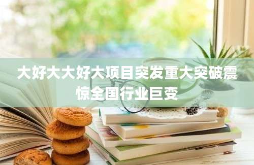 大好大大好大项目突发重大突破震惊全国行业巨变