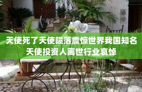 天使死了天使陨落震惊世界我国知名天使投资人离世行业哀悼