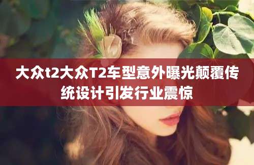 大众t2大众T2车型意外曝光颠覆传统设计引发行业震惊