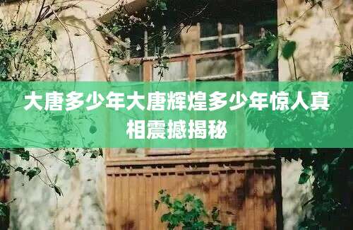 大唐多少年大唐辉煌多少年惊人真相震撼揭秘