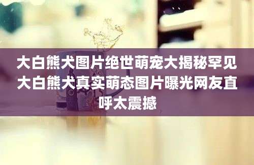 大白熊犬图片绝世萌宠大揭秘罕见大白熊犬真实萌态图片曝光网友直呼太震撼