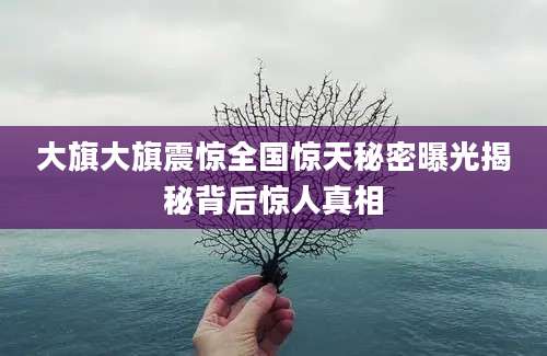 大旗大旗震惊全国惊天秘密曝光揭秘背后惊人真相