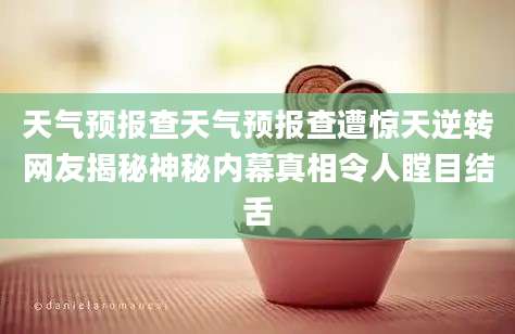 天气预报查天气预报查遭惊天逆转网友揭秘神秘内幕真相令人瞠目结舌