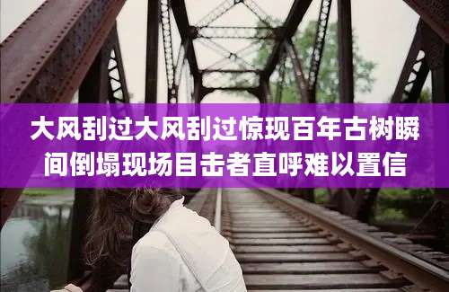 大风刮过大风刮过惊现百年古树瞬间倒塌现场目击者直呼难以置信