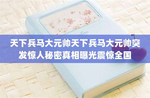 天下兵马大元帅天下兵马大元帅突发惊人秘密真相曝光震惊全国