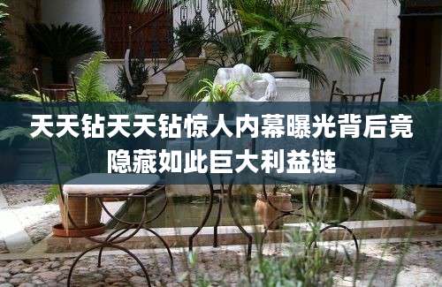 天天钻天天钻惊人内幕曝光背后竟隐藏如此巨大利益链