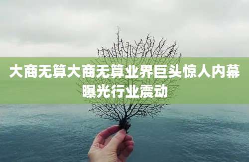 大商无算大商无算业界巨头惊人内幕曝光行业震动