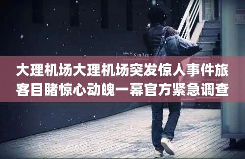 大理机场大理机场突发惊人事件旅客目睹惊心动魄一幕官方紧急调查